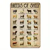  "Breeds of Sheep" - Vintage Metal Signs(8*12Inch/12*16Inch) - Farm