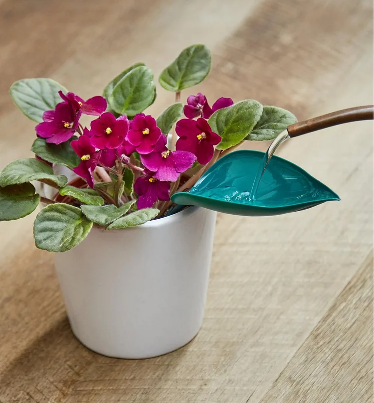 🔥Summer Hot Sale🔥Watering Leaves(BUY 5 GET 5 FREE)