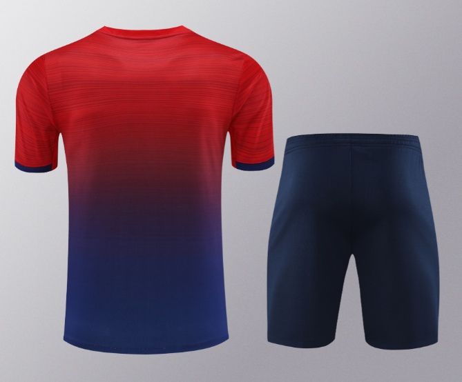 24/25 PSG Paris Saint Germain Short Sleeve Training Kit Thai Quality