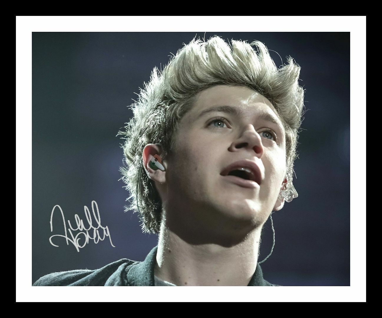 Niall Horan Autograph Signed & Framed Photo Poster painting