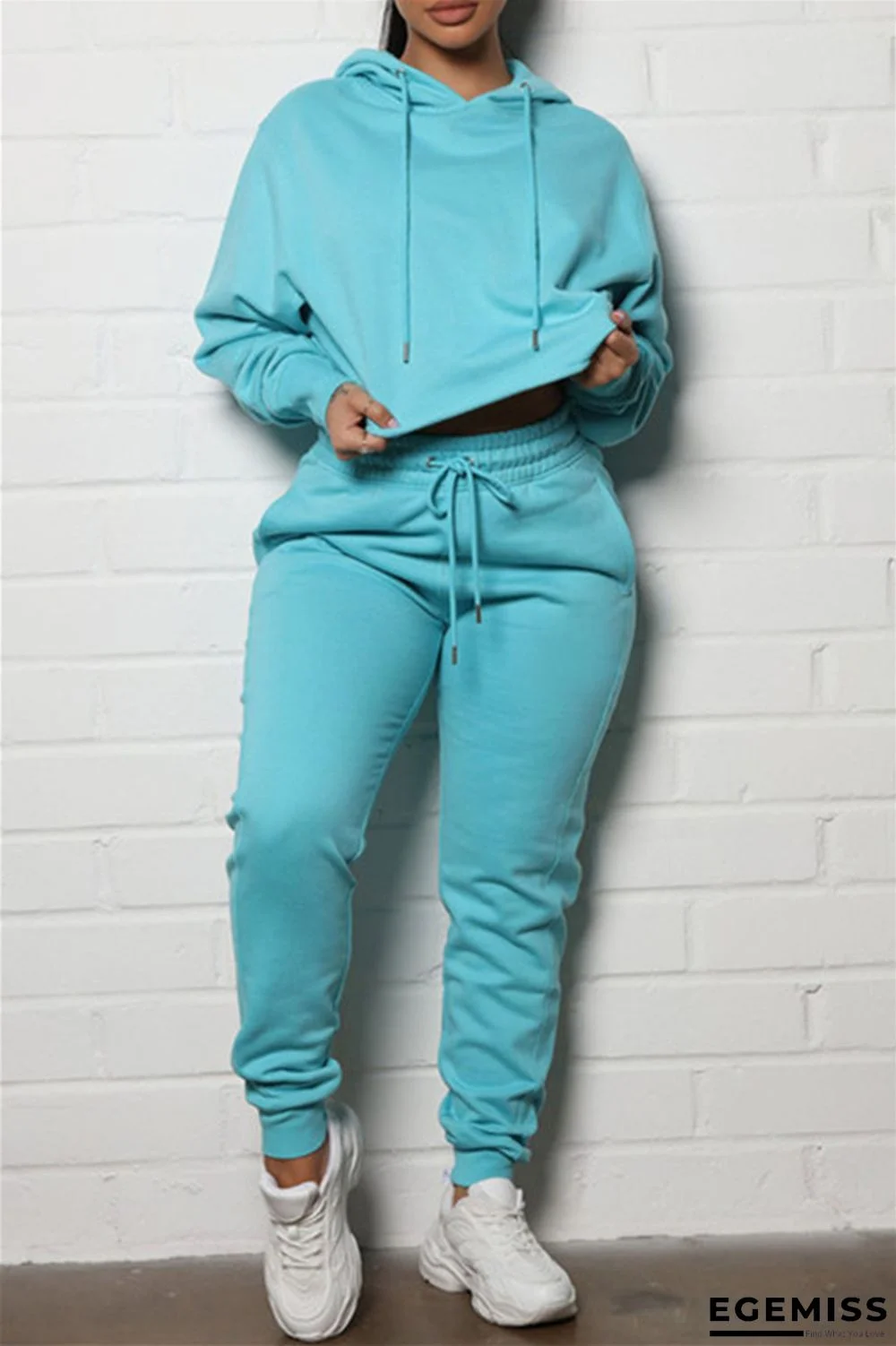 Blue Fashion Casual Solid Basic Hooded Collar Long Sleeve Two Pieces | EGEMISS