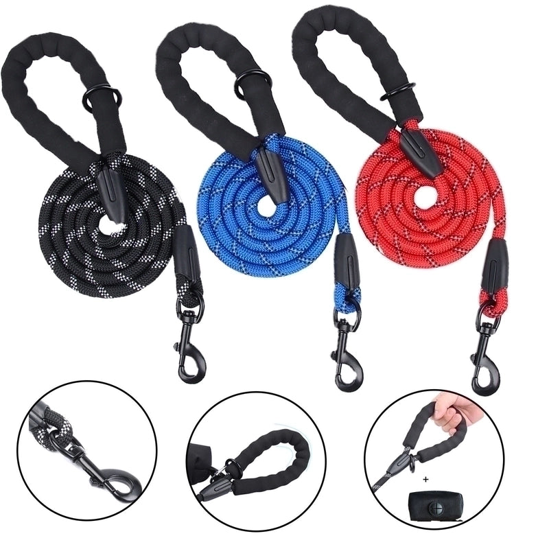 Fashion Polyester Color Block Leash