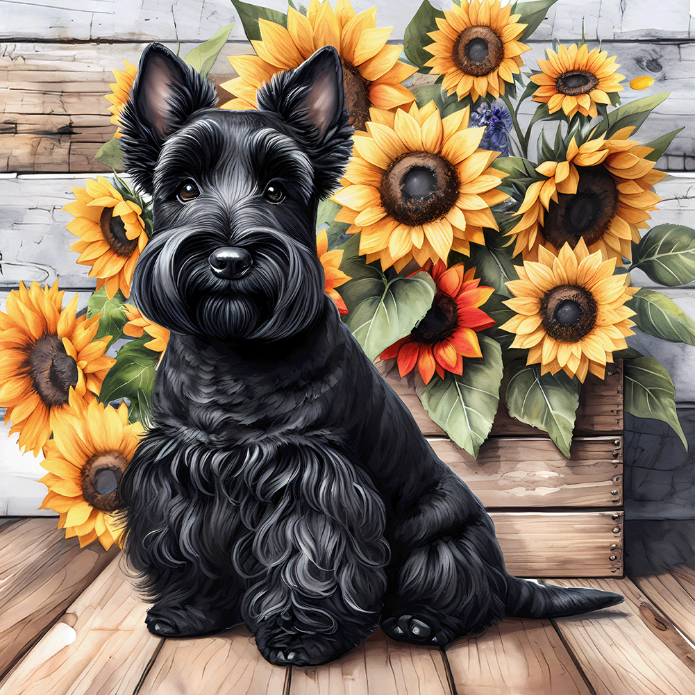 Schnauzer 40*40cm(canvas) full round drill diamond painting