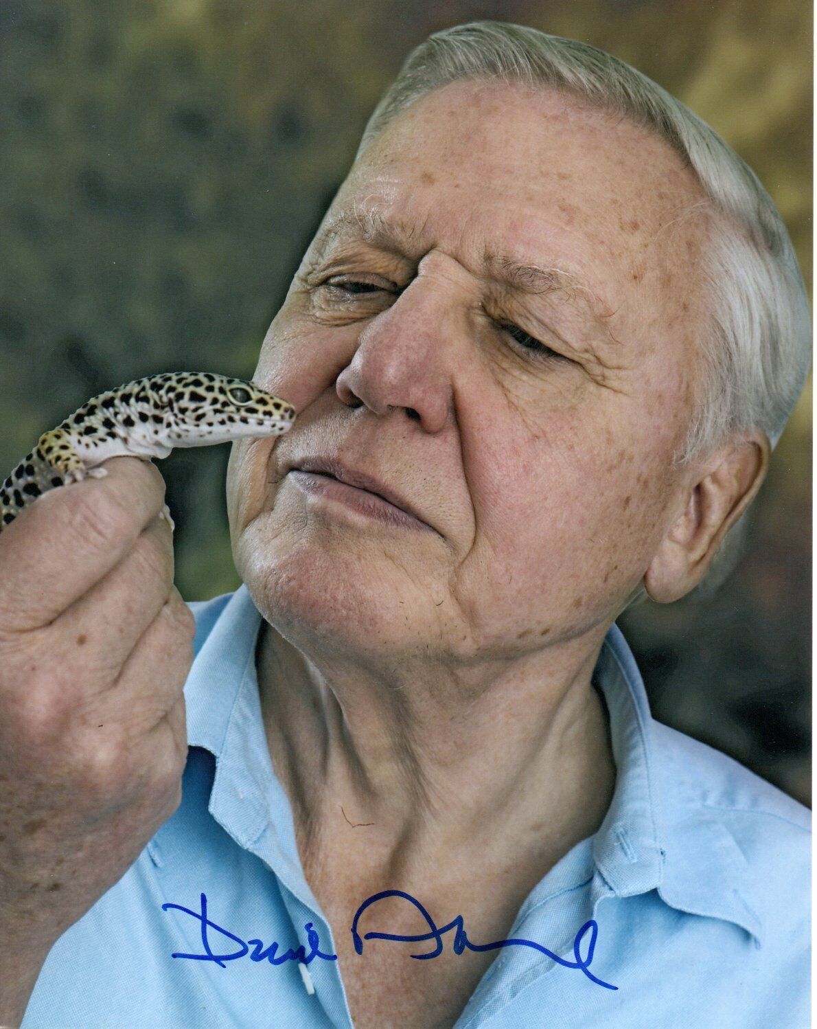 David Attenborough HAND Signed 10x8' Photo Poster paintinggraph Naturalist Broadcaster Autograph