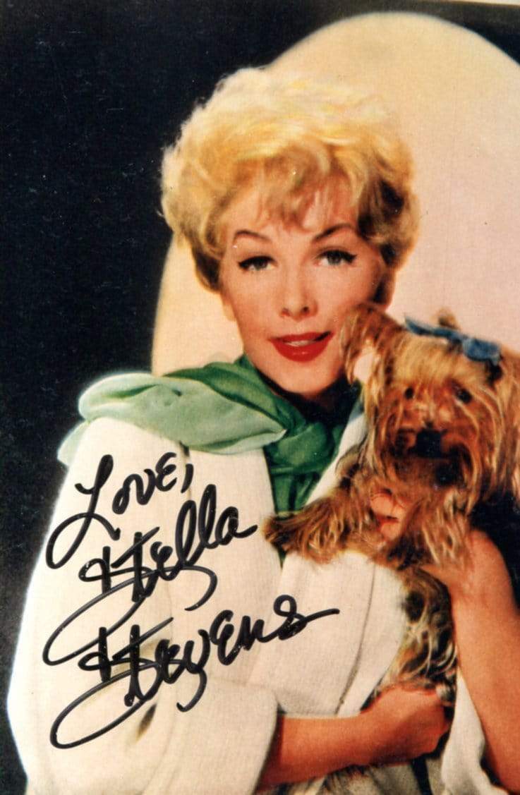 Stella Stevens ACTRESS autograph, signed Photo Poster painting