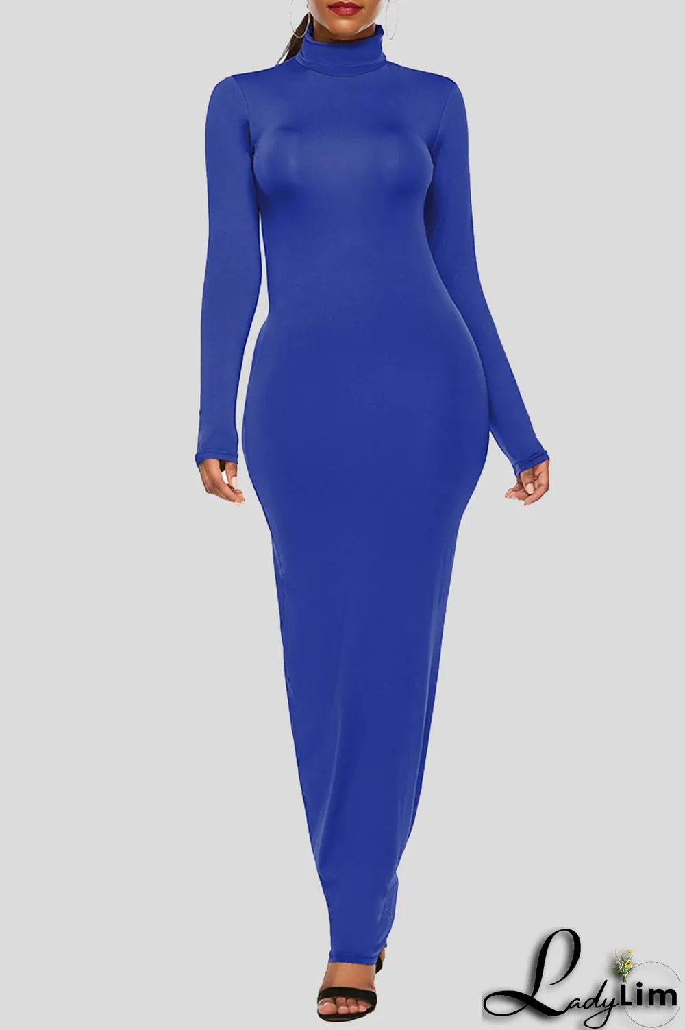 Black Fashion Casual Solid Basic Turtleneck Long Sleeve Dresses