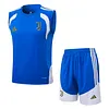 Joyfball 2026/2027 Juventus Vest blue