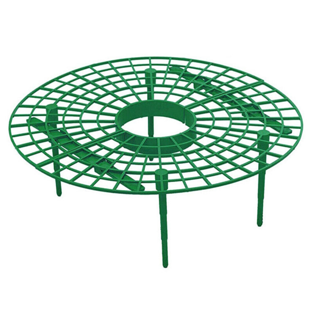 

Plastic Strawberry Support Stand Removable Vegetable Fruit Plant Rack, 501 Original