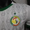 2024 Player Version Senegal Soccer Jersey Home