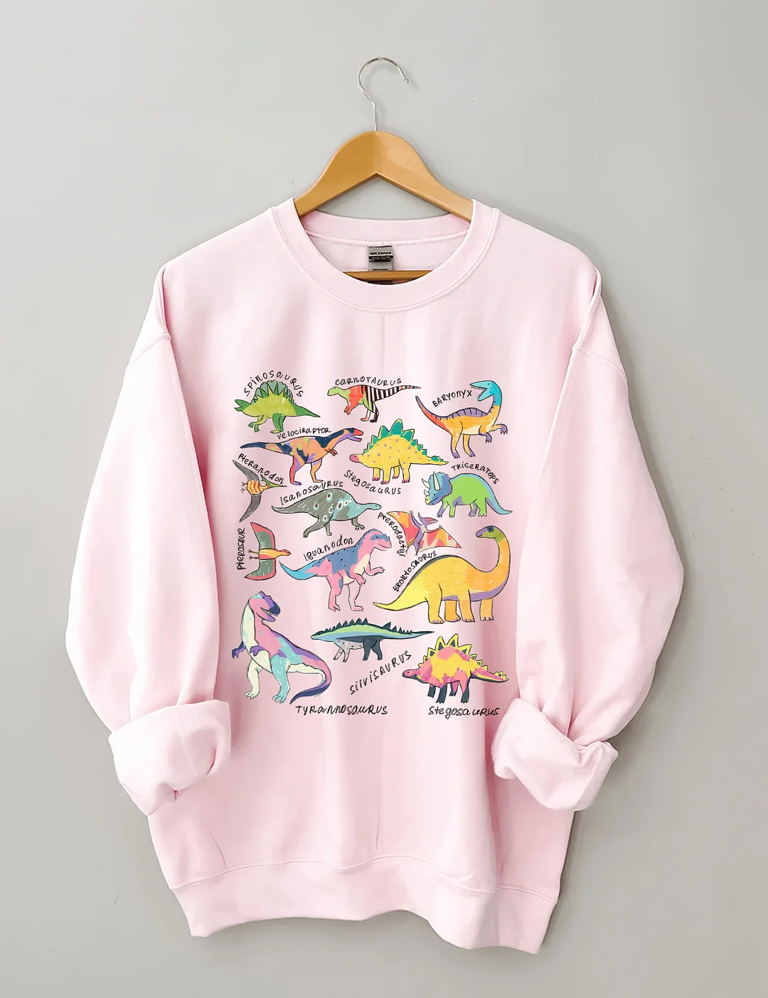 Dinosaur Lover Sweatshirt