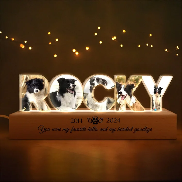 Personalized Pet Memorial Night Light, Custom Pet Photo Night Light