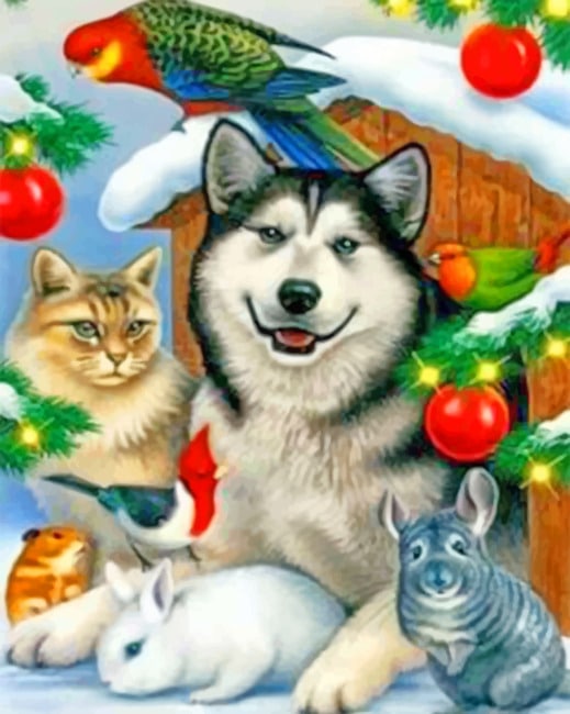 

Cat And Dog – Paint By Numbers - 40*50CM, 501 Original