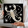 Scorpion DIY Pearl Art Diamond Painting Kit for Adult Home Decor 25x25cm With Frame