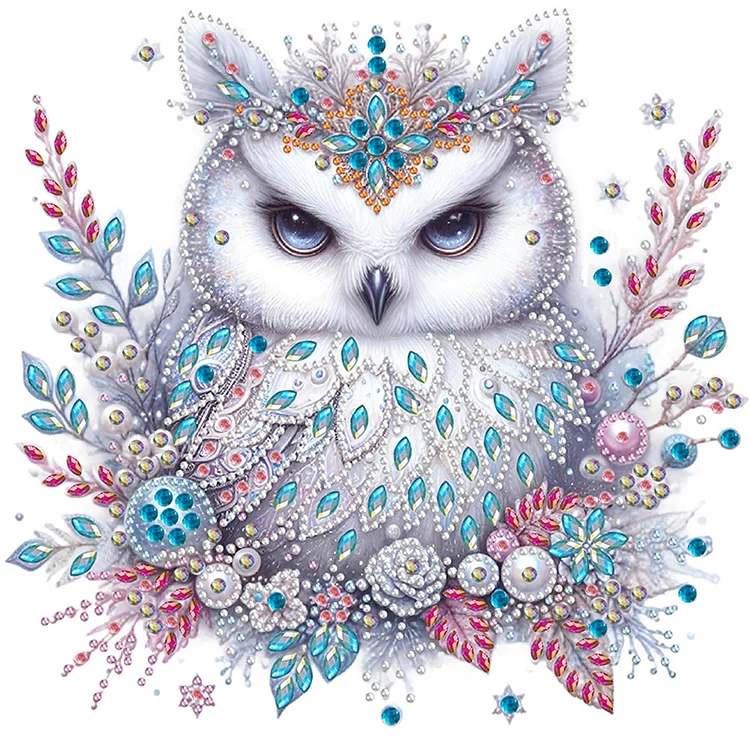 Partial Special-Shaped Diamond Painting - Bald Owl 30*30CM