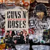 Guns N' Roses - Vintage Metal Signs(8*12Inch) - Music