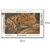 Leopard | Full Round Diamond Painting Kits
