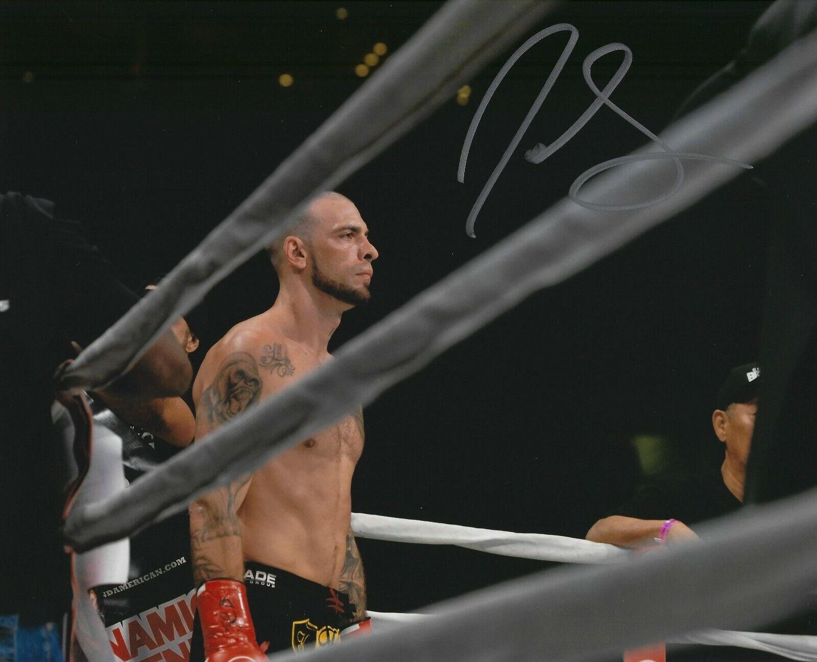 Joe Schilling Signed 8x10 Photo Poster painting Glory Bellator Kickboxing Picture Autograph 1MMA