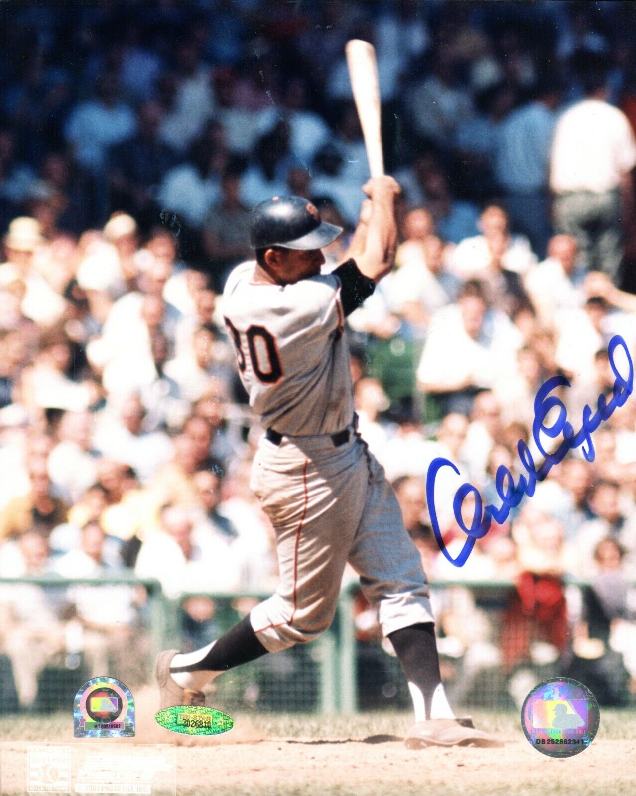 MLB & TriStar Orlando Cepeda Autographed Signed AUTO 8x10 Photo Poster painting Giants TRB 893