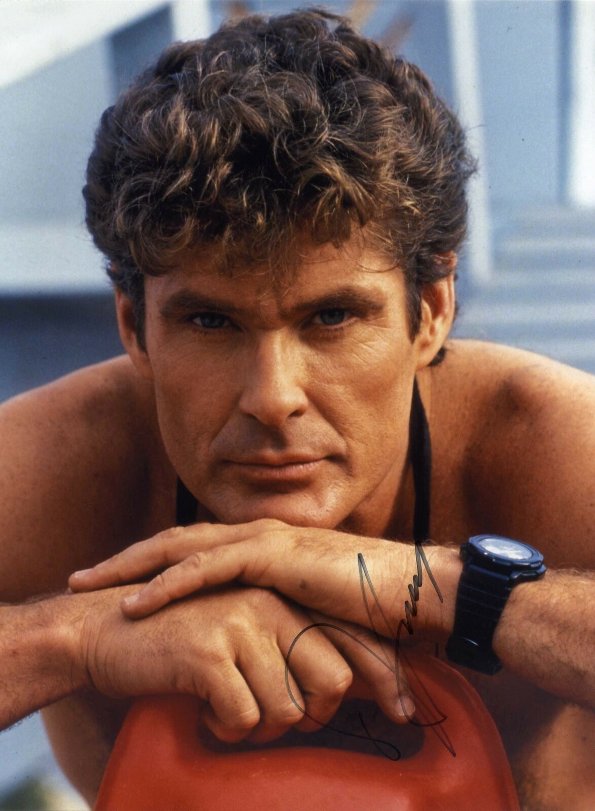 BAYWATCH ACTOR David Hasselhoff OVERSIZED autograph, IP signed Photo Poster painting