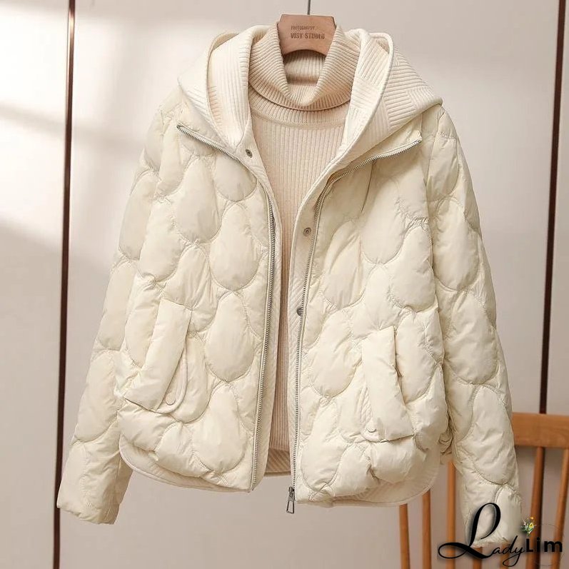 Simple and Stylish winter Jacket