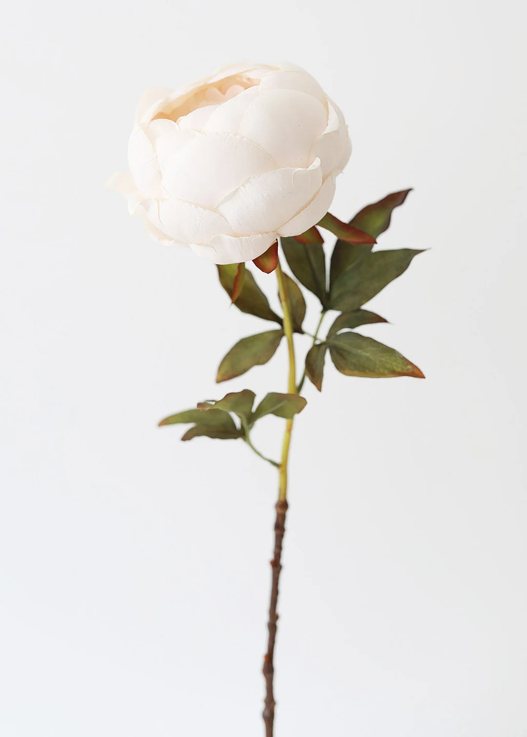 Artificial Peony Flower in Ivory - 24"