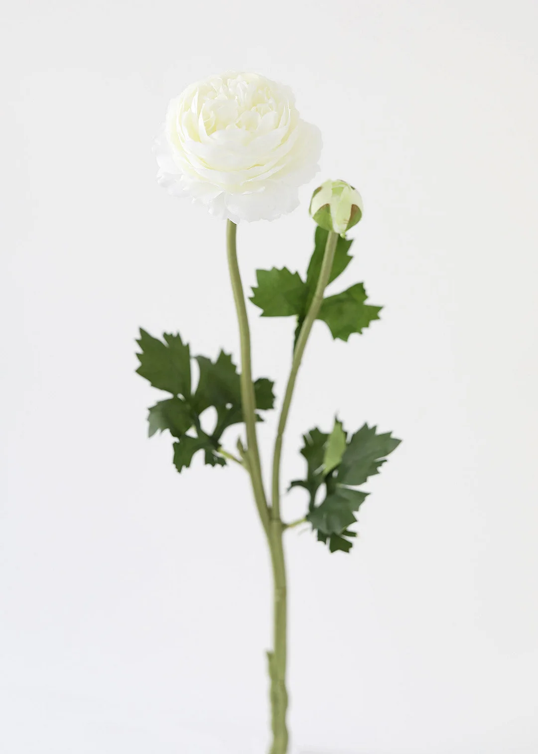 Cream White Ranunculus Silk Flower - 18.75"
