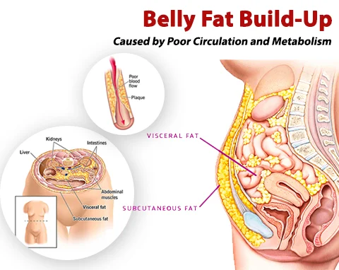 GFOUK&trade; IONSculpt Tourmaline Fiber Briefs