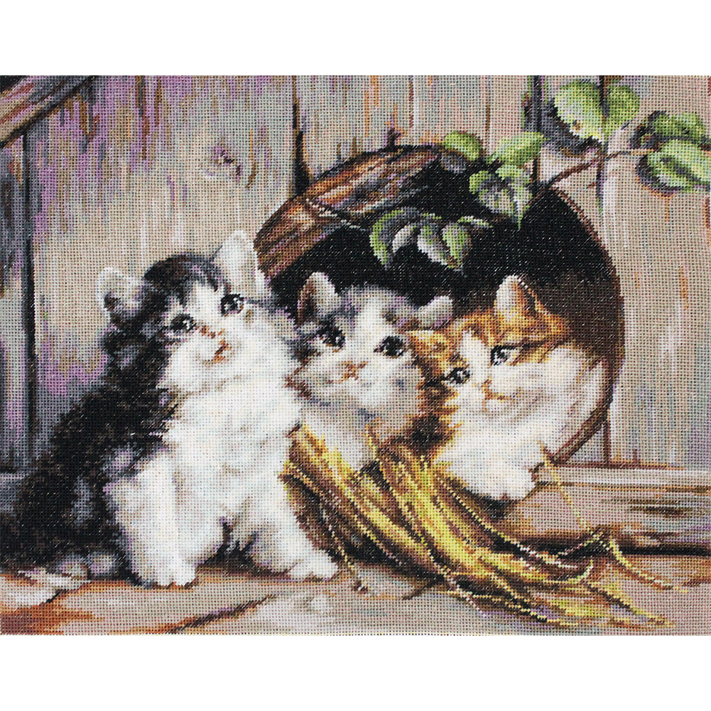 

Cute Kittens - 11CT Stamped Cross Stitch - 30*40CM, 501 Original