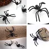 Boucles d'oreilles araign&eacute;e gothique d'Halloween