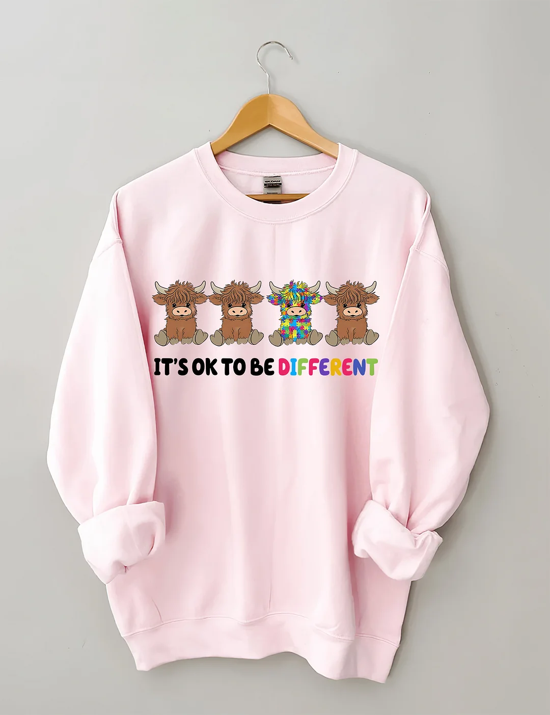 It's Ok To Be Different Sweatshirt