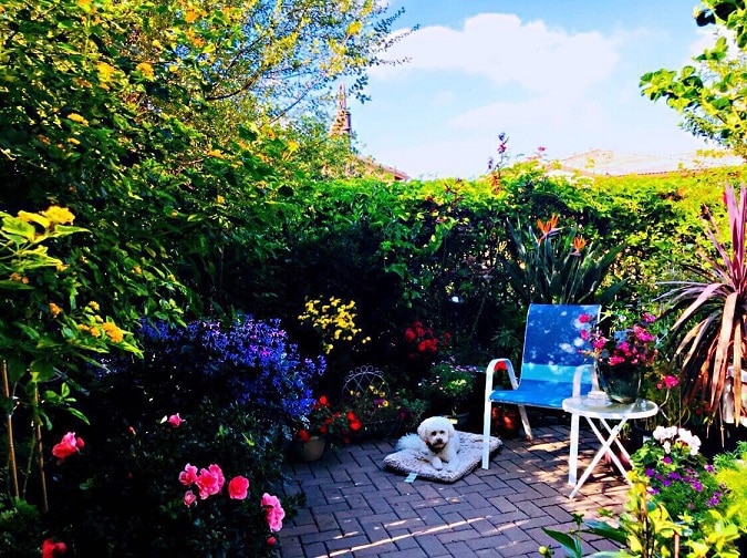 

Backyard Garden – Paint By Numbers - 40*50CM, 501 Original