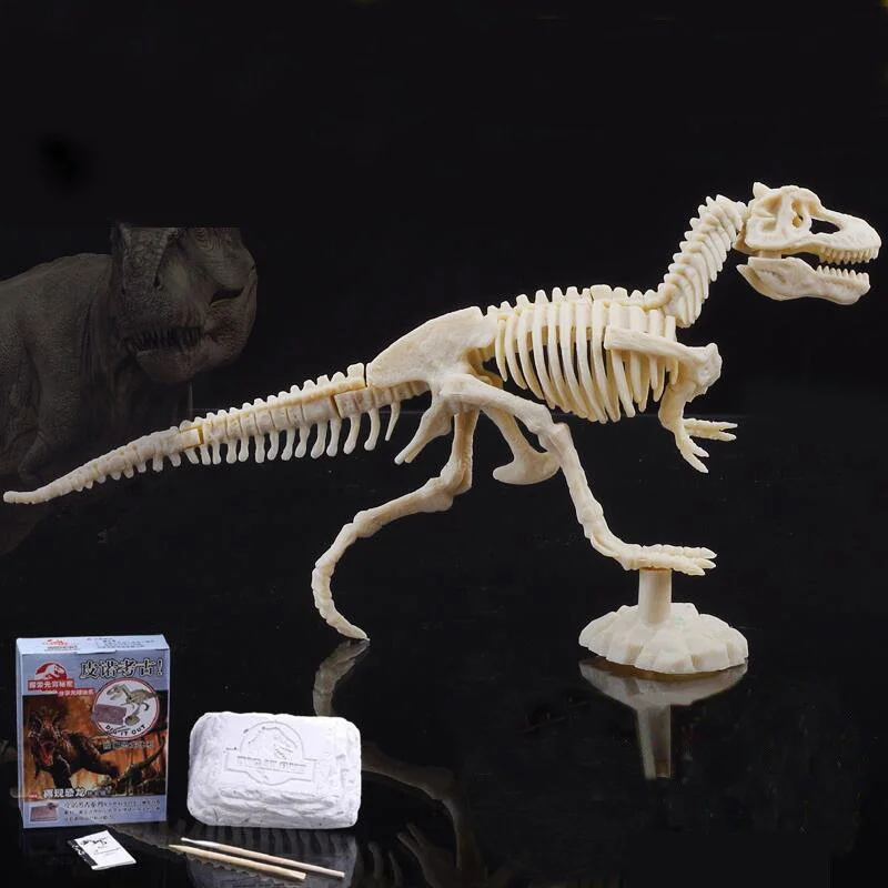 Creative diy toy children's hand-assembled dinosaur skeleton model