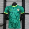 2025 Player Version Senegal Soccer Jersey Away