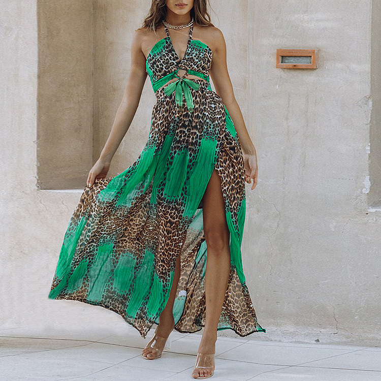 V Neck Sexy  Leopard  Printed  Backless Sling Dress