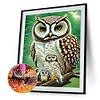 Diamond Painting-DIY Full Round Drill Owl