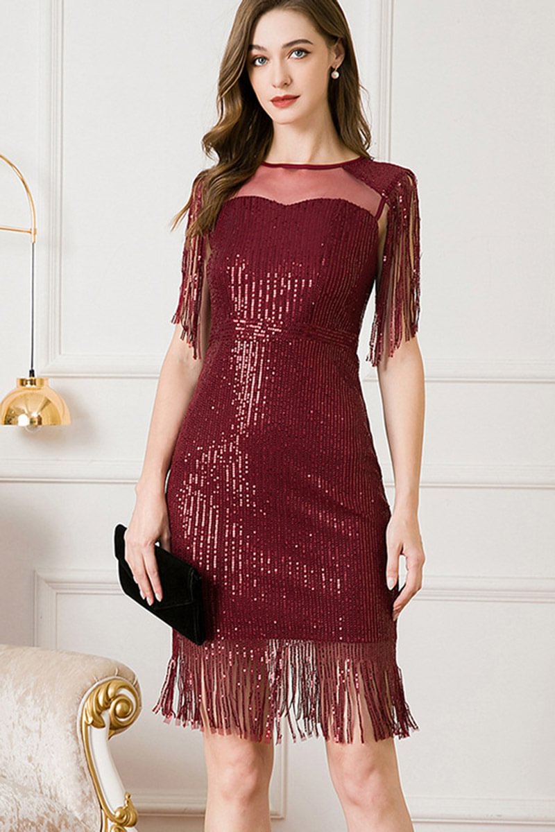 1920s Wine Red Party Fringe Sequin Mesh Bodycon Mini Dress