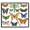【Limited Stock Sale】Colorful Butterfly Logo-14CT Stamped Cross Stitch 34*30cm/13.39*11.81in tapestrymarket