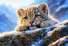 Luxury AB Velvet Diamond Painting Kit - Snow leopard
