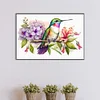 uk.everydayedeals (Limited Stock)Diamond Painting - Full Round - Hummingbird on A Branch(40*60cm)