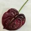 Artificial Single Stem Anthurium Flower