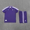 2025/2026 Real Madrid Pre-Match Training Purple Shirt+Shorts 1:1 Thai Quality