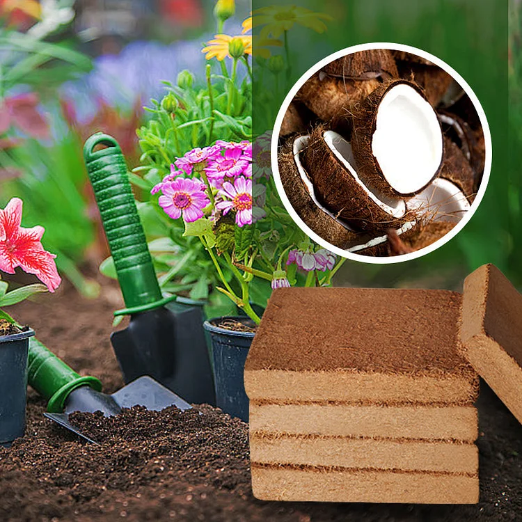 OFY@Organic Coconut Coir for Plants（50% OFF）