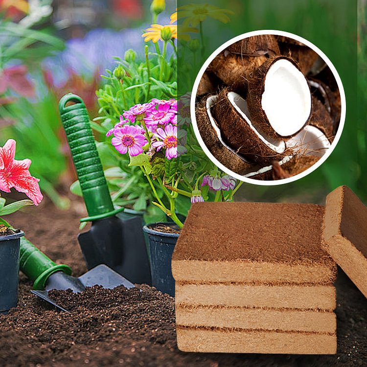 Organic Coconut Coir for Plants（50% OFF）