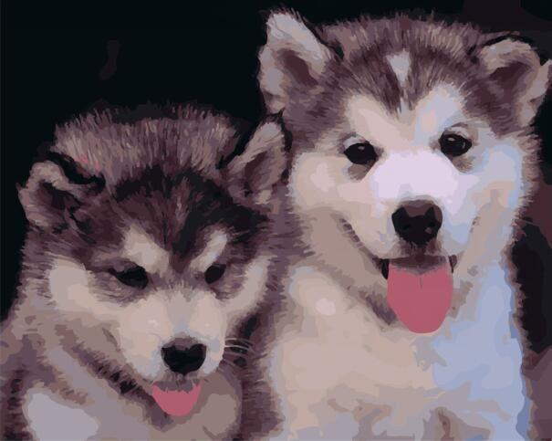

Puppies Of Husky – Paint By Numbers - 40*50CM, 501 Original