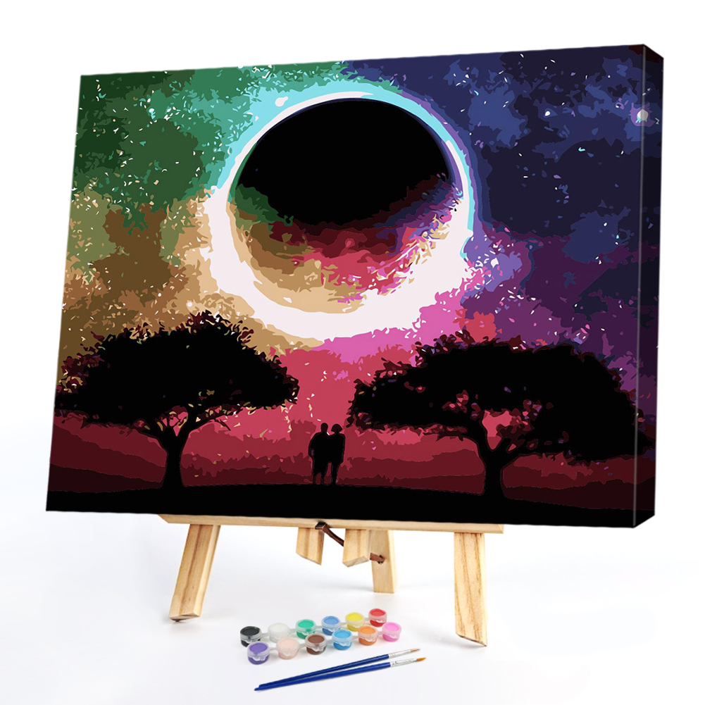 

40*50CM Paint By Numbers-Moon, 501 Original