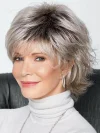 Fluffy Gray Short Straight Hair Wig