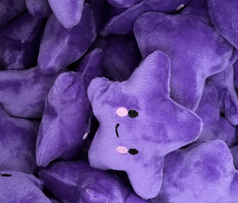 Pet Toys Plush Vent Vocal Toys Pet Gifts Suit Toys Dog Molar Toys Chew Toys