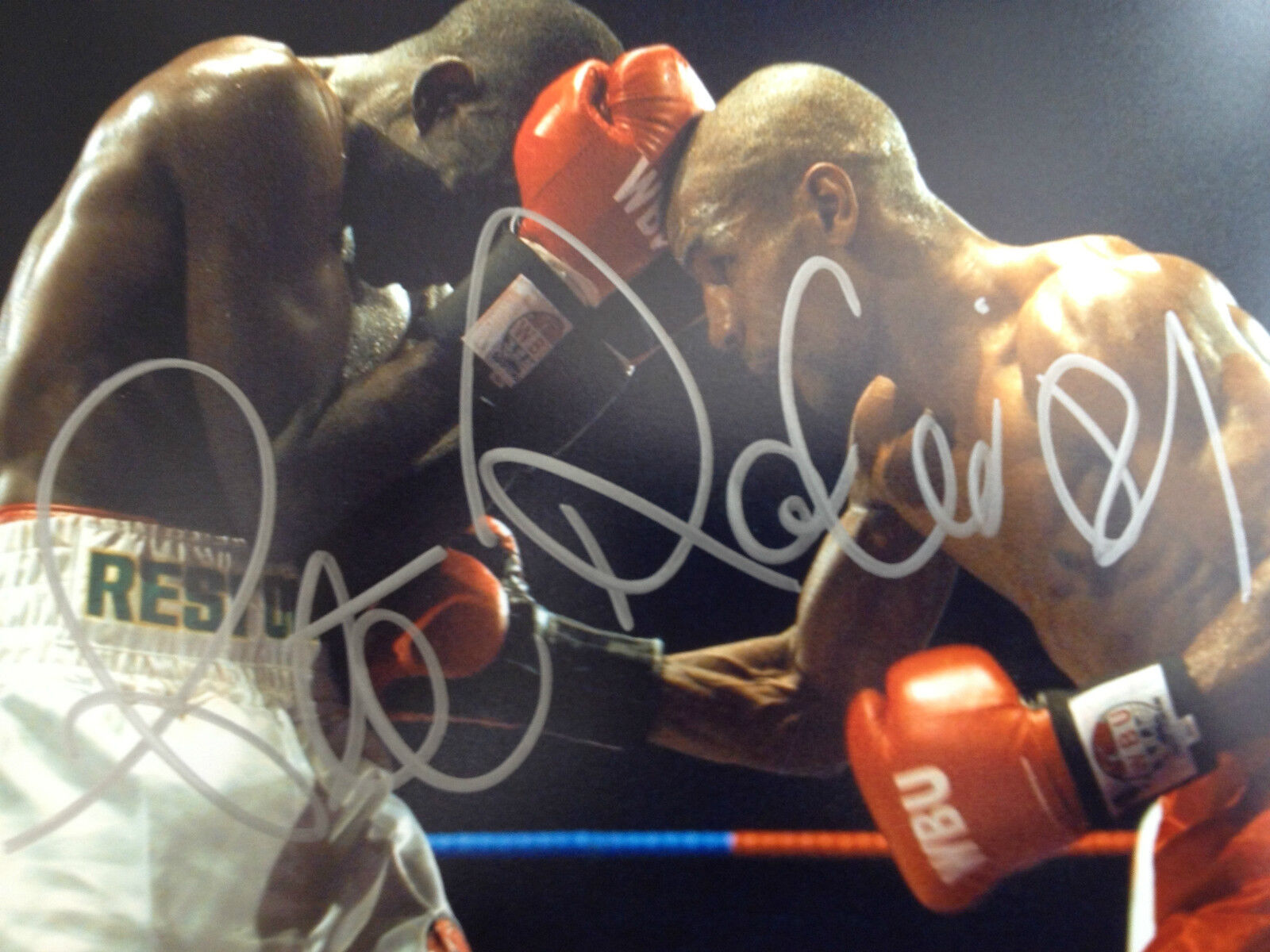 STEVE ROBINSON - FORMER WORLD CHAMPION - SIGNED COLOUR ACTION Photo Poster paintingGRAPH