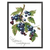 >SALE<Embroidery Eco-cotton Thread 14CT Printed Fruit Cross Stitch Kit Artwork 22x32cm