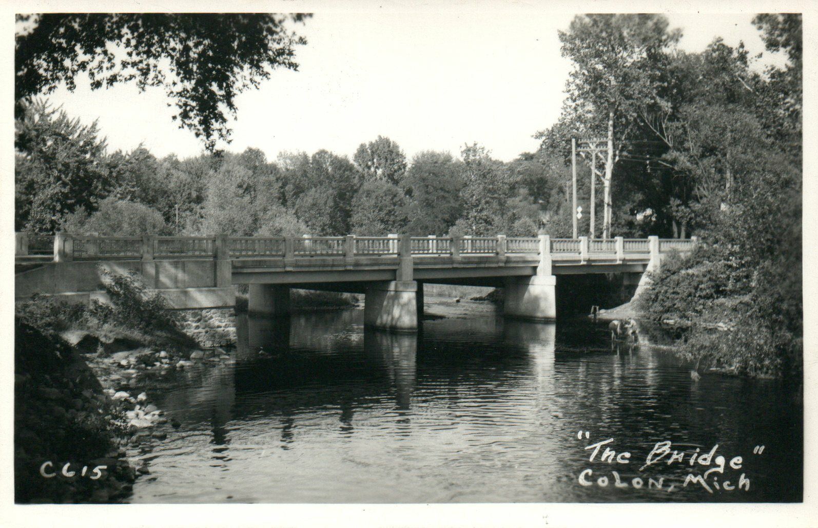 The Bridge Colon Michigan Real Photo Poster painting RPPC Postcard